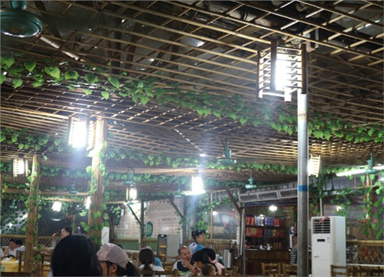 美爾家實地拍攝