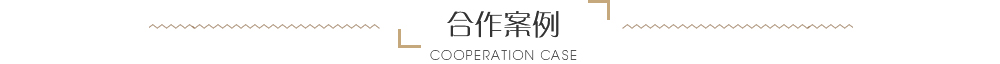 合作案例