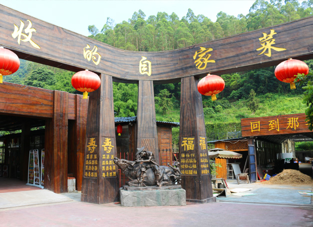 美爾家藤藝燈飾參加菜豐園農莊