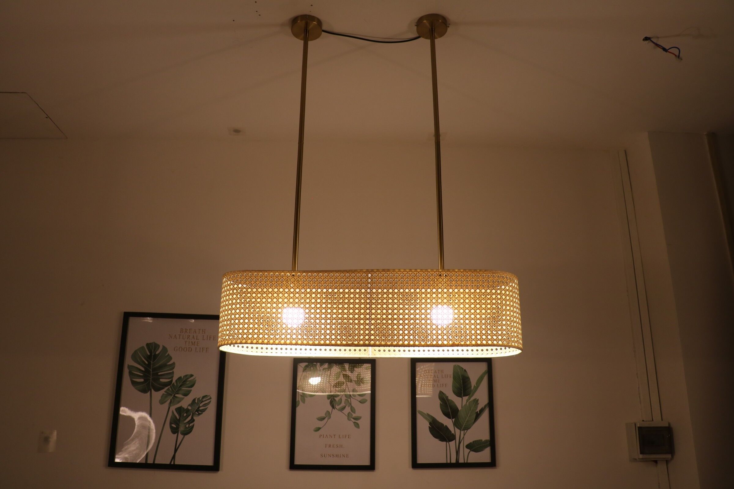 美爾家燈飾：膠藤吊燈